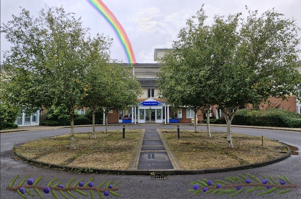 Activities on Juniper&nbsp;Ward